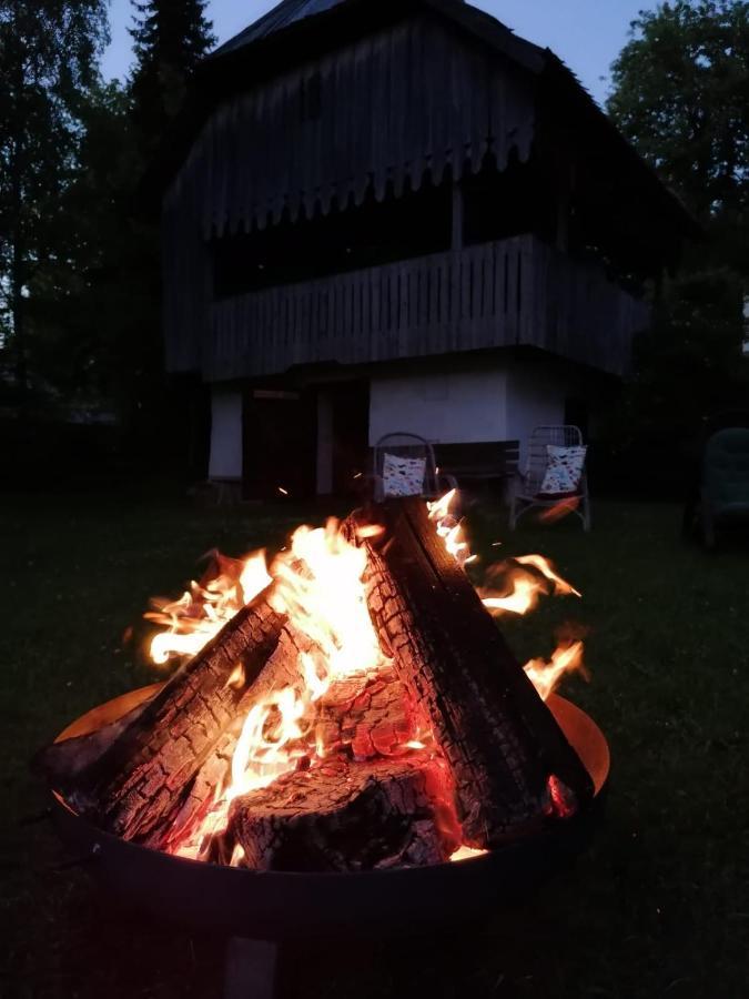 Pension Gut Trogern Bad Eisenkappel Exteriör bild