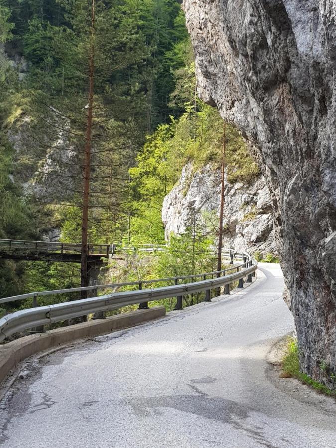 Pension Gut Trogern Bad Eisenkappel Exteriör bild