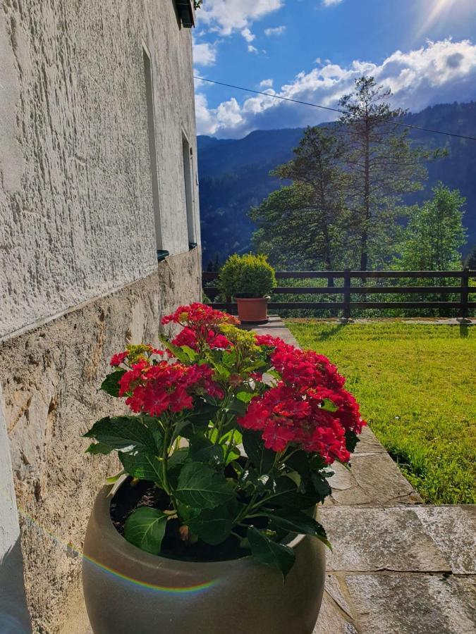 Pension Gut Trogern Bad Eisenkappel Exteriör bild