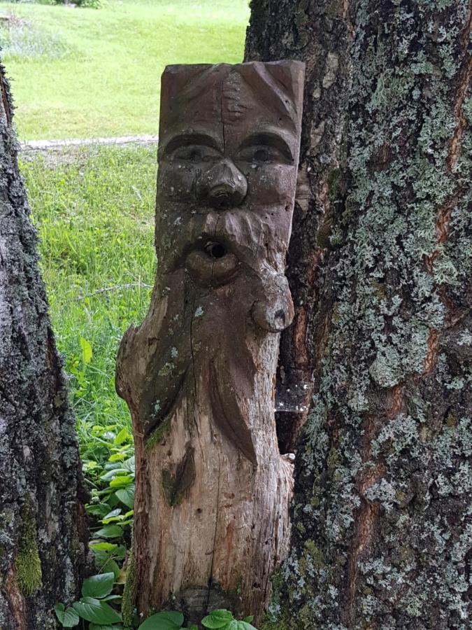 Pension Gut Trogern Bad Eisenkappel Exteriör bild