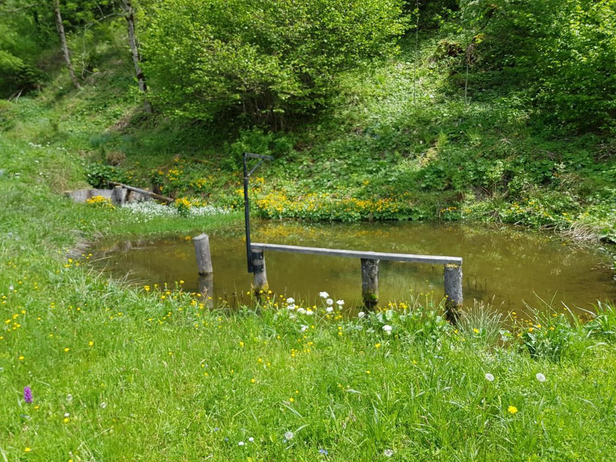 Pension Gut Trogern Bad Eisenkappel Exteriör bild