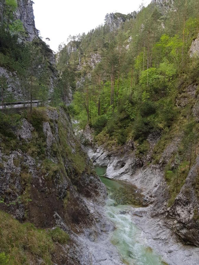 Pension Gut Trogern Bad Eisenkappel Exteriör bild